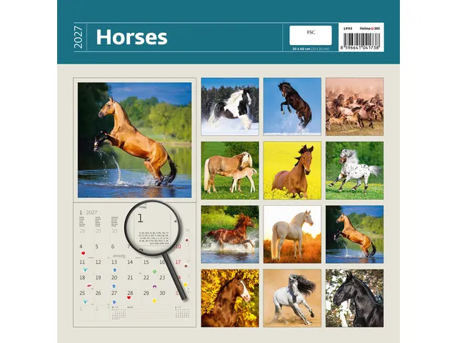 Kalender 2027 Helma 365 30x30cm paarden