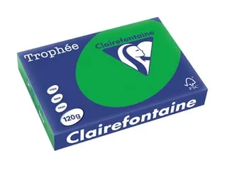Trophée Intens Gekleurd Papier A4 120 gram 250vel Biljartgroen - 2