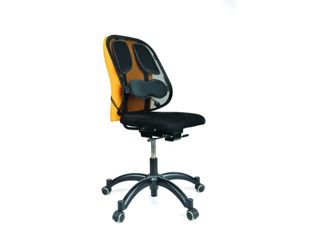 Support dorsal Professional