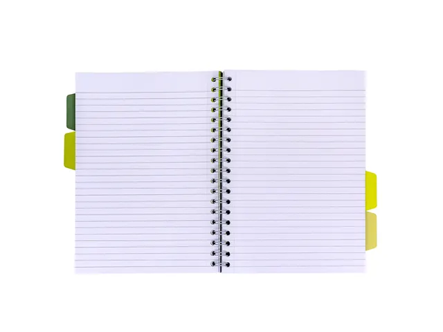 Projectboek Pukka Pad Recycled B5 lijn 4-tabs 200 pagina's 80gr groen