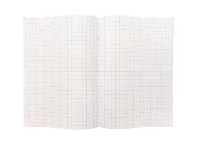 Schrift Kangaro A4 ruit 10mm 160 pagina's 60gr assorti pak à 5 stuks
