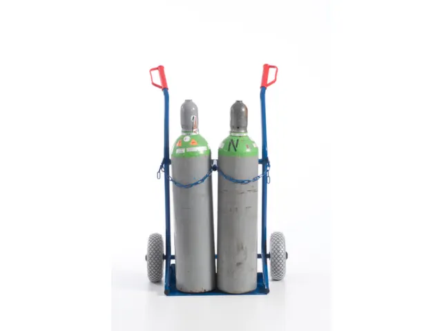Diable Pour Bouteilles Force 100 kg 2bouteilles De 20 l Bandage Pneu