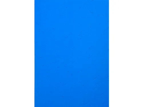 Pk 100Vl Forever Fra Nce Blauw A4 270G