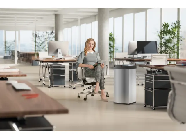 RVS afvalbakken,52l,HxBxD 763x339x260mm,romp RVS