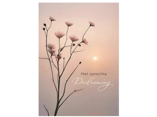 Wenskaart Hallmark condoleance bloemen pak à 6 stuks