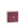 wandkast 800x800x350mm 2xStalen bodem sokkel Ral 7035 front Ral 3004