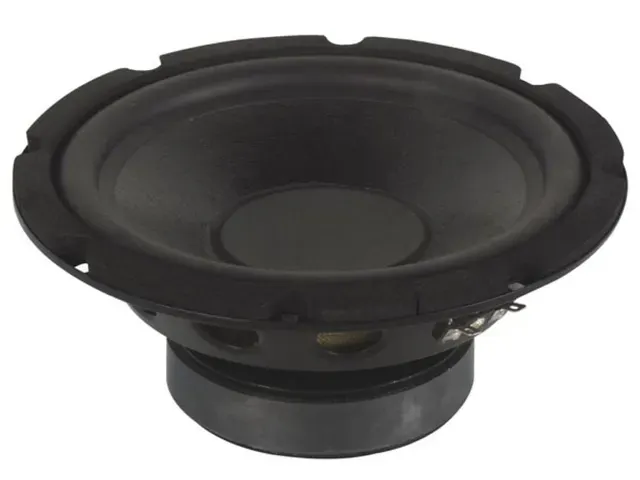 OUTLET Zwarte Subwoofer Voor Luidspreker 10 Inch 350w