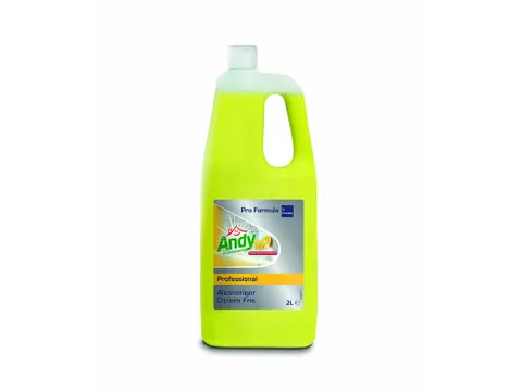 Pro Formula Allesreiniger Citroen Fris doos 6x2 liter