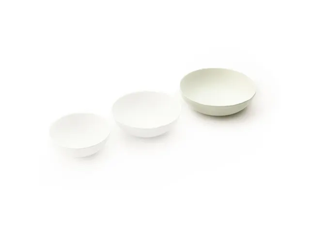 Sier Tipje Bagastro 50ml Wit 12x80 stuks