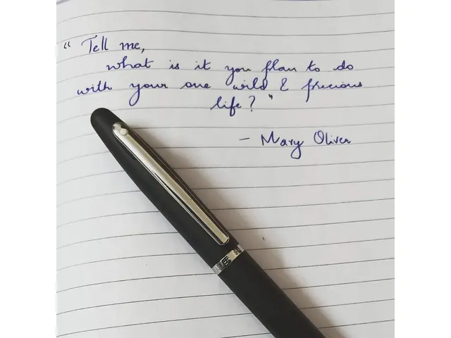 Rollerball SHEAFFER VFM E9405 Matte black nickel plated