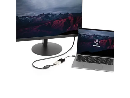 USB-C naar DVI adapter Full HD video converter voor DVI-schermen