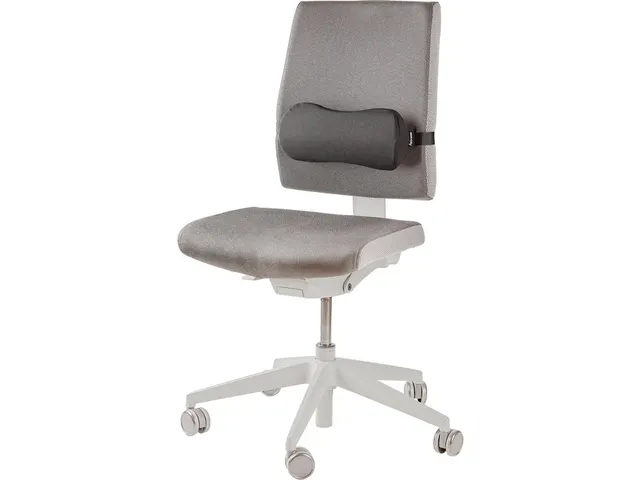 Lendekussen Fellowes Breyta zwart