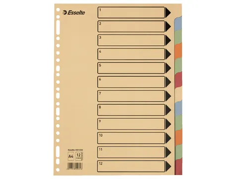 Tabbladen Esselte Premium A4 12-delig karton 23-rings assorti