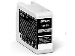 Epson Origineel Inktcartridge UltraChrome Pro 10 C13T46S900 Licht grij