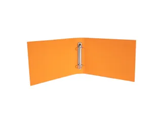Ringmap IDERAMA A4 2 R 25mm geassorteerd - 13