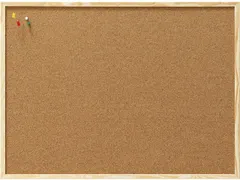 Prikbord Naga 100 x 60 cm Kurk