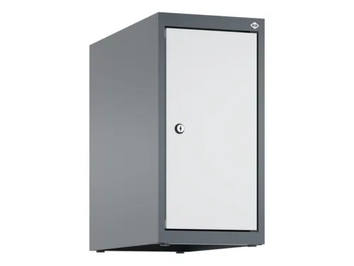 opzetkast,v. locker,1vak.,vak B 250mm,HxBxD 500x250x500mm,vleugeldeur