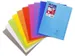 Schrift Koverbook A4+ 48 vel Seyès, kaft in PP assorti transparant