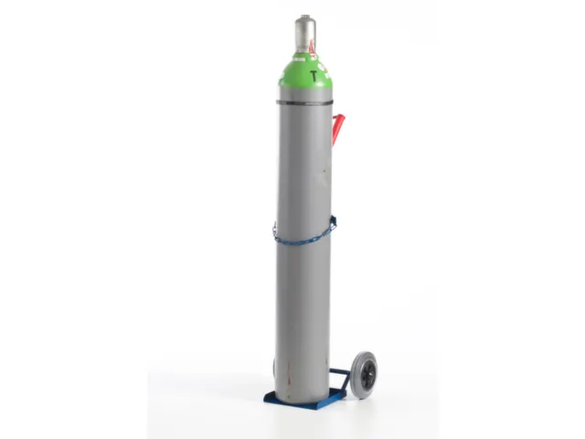 Diable Pour Bouteilles Force 100 kg 1bouteille De 40/50 l Bandage Pn