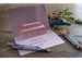 Brushpen Schneider Paint-It 070 8+2 GRATIS assorti karton etui