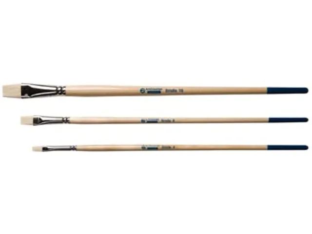 Penselenset Varkenshaar Plat Set Van 3