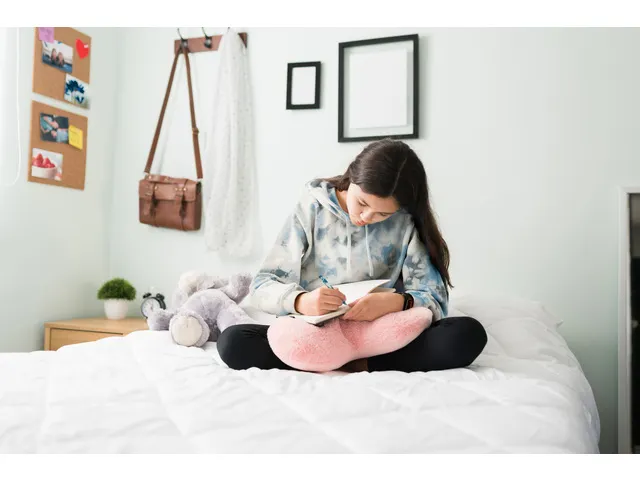 Vulpen Schneider Easy Batik