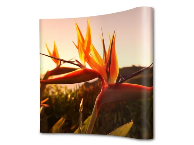 Beurswand Pop-Up Magnetic Curved 2 x 3 met Hardcase koffer