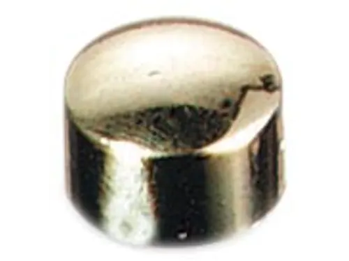 Magneten Prestige Goud 10mm