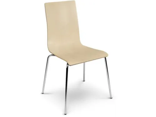 Houten Kuipstoel Frame V. Staalbuis Zitschaal Laminaat Esdoorn 4 Stuks