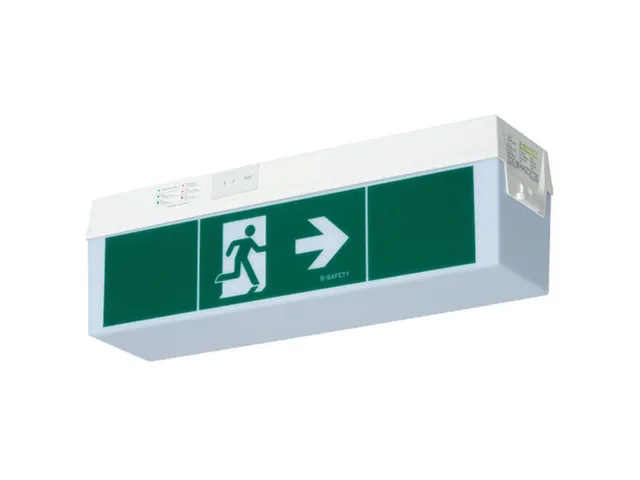 lampe de signalisation DEL,Symbole/Texte : « sortie de secours »