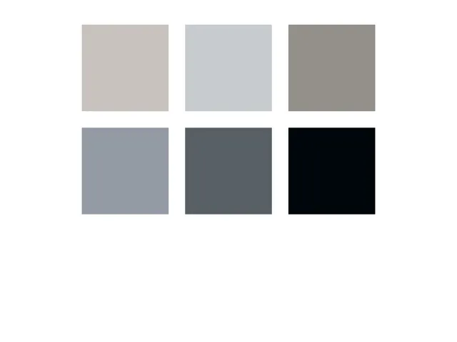 Brushpen Staedtler pigment pen etui à 6 grijze kleuren