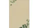 Papier met motief Sigel, Eucalyptus, tweezijdig motief, gras papier, F