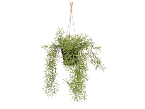 Kunstplant Mica Rhipsalis hangend in pot groen 40x20cm