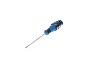 2163 Schroevendraaier TX T20 3C - 1