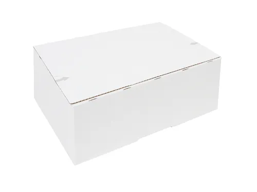 Postpakketbox IEZZY 2 200x140x80mm wit