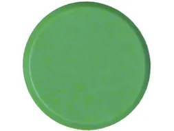 Magneten 10 Mm Groen 10 Stuks