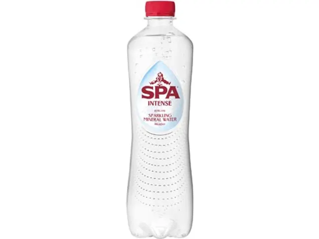 Water Intense Fles Van 50 Cl Pak Van 24 Stuks