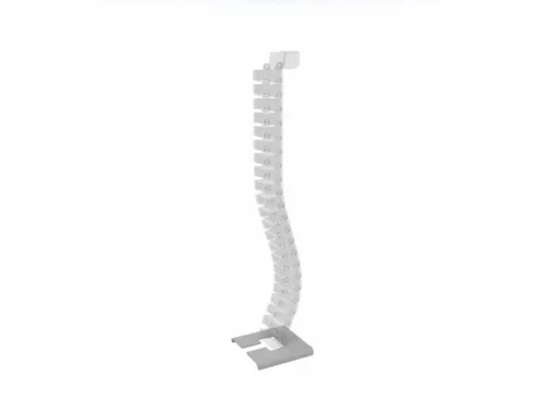 Kabelworm,V. Vergadertafel,Transparant