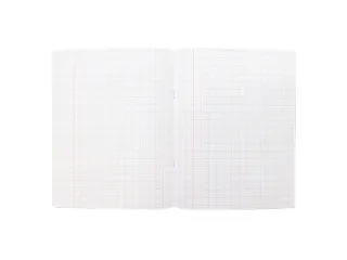 Schrift Kangaro A5 ruit 10mm 80pagina's 60gram 10stuks pastel assorti - 13
