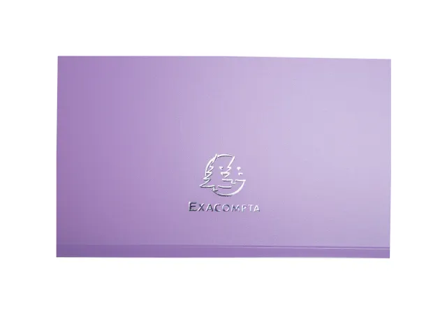 Boite de classement Exabox Dos 25mm Polypropylène 7/10e Chromaline pa