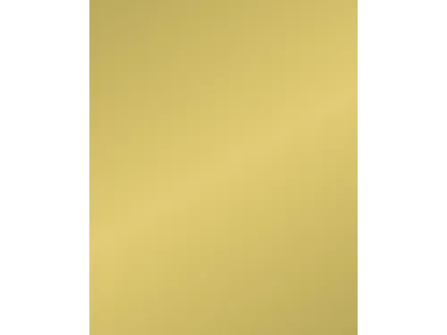 Etalagekarton Folia 48x68 cm 400gr Nr 611 Goud