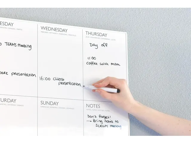 4320 - Desq Weekplanner Magnetisch 45 X 60 Cm