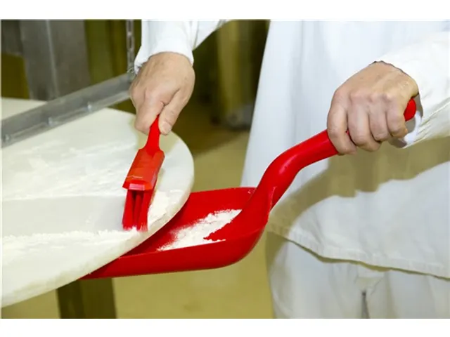 Vikan Vlakke Handschep klein model 275mm Rood