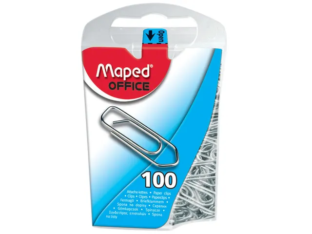 Paperclips Klein 25mm Staal 100 Stuks