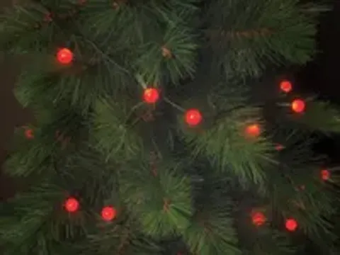 OUTLET Cherry Light LED - 12m - 120 Rode Lampjes - Groene Draad - 24 V