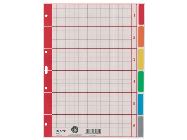 Tabbladen Leitz 4-gaats 4350 6-delig grijs karton
