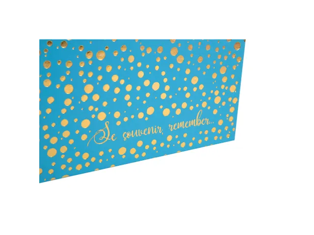 Alb livre 30p blc 25 x25cm Plum turquoise