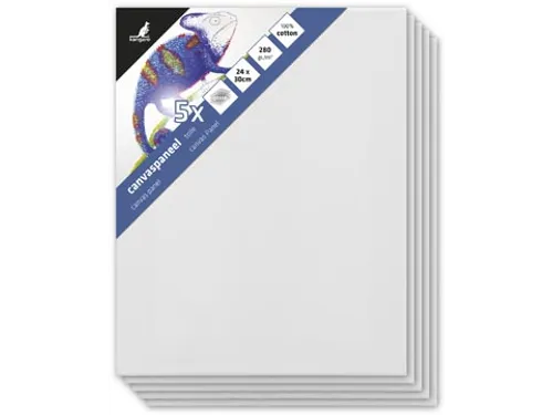 Canvaspaneel 24X30 Cm Set 5 stuks