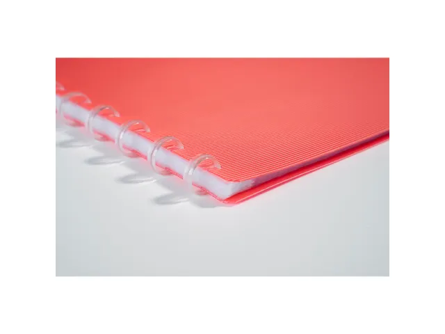 Protège-documents détachable en polypropylène rigide Linicolor 40 v