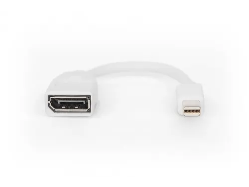 DisplayPort-adapterkabel type mini DP DP Male/Female 0,15m UHD 4K Wit